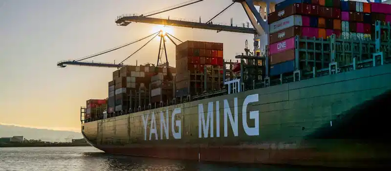 Mastering TypingMind Docker for Privacy-First AI Control in 2026 ...