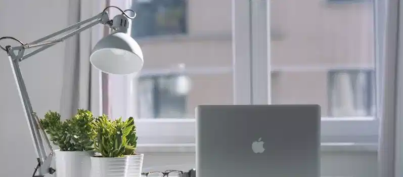 Bright modern workspace with laptop, potted plants, and desk lamp near a window.