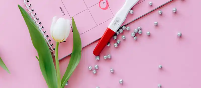 A close-up of a pregnancy test, calendar, and tulip arranged on a pink surface.