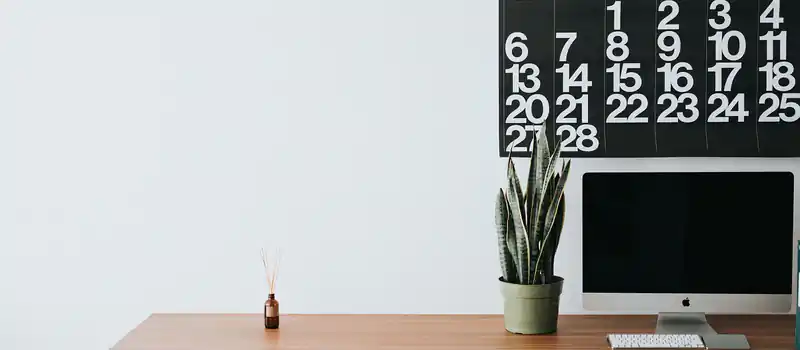 apple, computer, browser, business, office, work, desk, table, chairs, interior, display, green, business, office, office, office, office, office, work, desk, desk, desk, desk, table, table, table, table