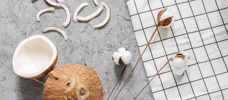 coconut, flatlay, background, laptop wallpaper, coconut oil, spike cotton, wallpaper 4k, beautiful wallpaper, 4k wallpaper, hd wallpaper, dried coconut, desktop backgrounds, cool backgrounds, windows wallpaper, free wallpaper, free background, full hd wallpaper, mac wallpaper, wallpaper hd, fabric caro, fabric striped, 4k wallpaper 1920x1080, fabric black and white