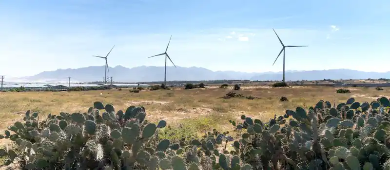 Wind turbines on land between prickly succulent plants and mountain silhouette under cloudy sky in countryside