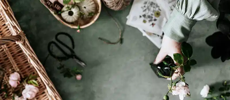 Elegant flat lay of flower arranging with tools and roses.