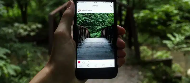 A hand holds a smartphone capturing a forest bridge in a natural setting.