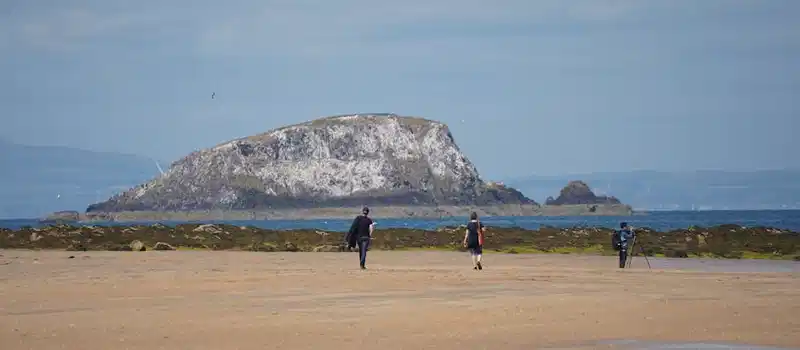 Free stock photo of 4k, background, beach