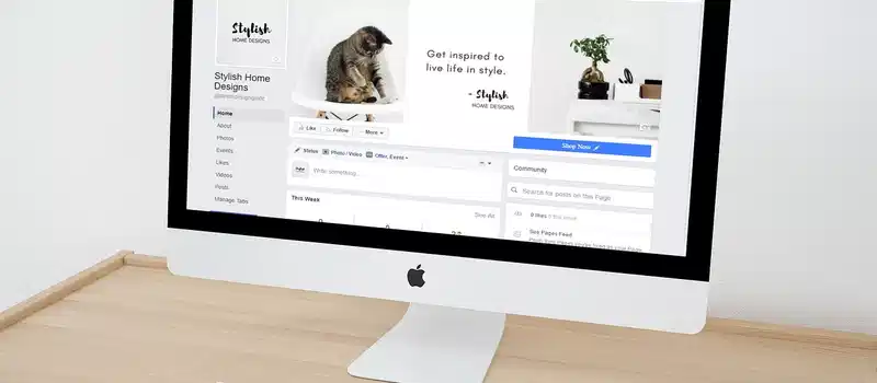 web design, facebook, facebook page, small business, business, web, design, media, internet, network, website, social, communication, marketing, online, imac, apple computer, digital, internet marketing, digital marketing, social marketing, social media marketing, social networking, social media business, social media, social network, startup, home design, mockup, desktop, community, social media background, social media icon, web design, facebook, facebook, facebook, facebook, facebook, facebook page, facebook page, website, website, website, website, digital marketing, digital marketing, social media, social media