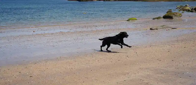 Free stock photo of 4k, background, beach