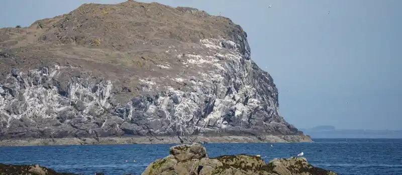 Free stock photo of 4k, background, bass rock