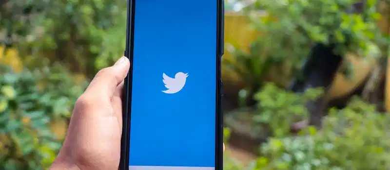 Hand holding a smartphone with the Twitter app open, outdoors with greenery in the background.