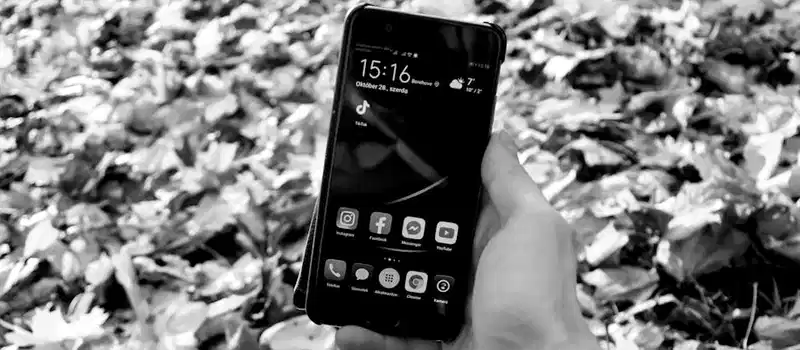 Black and white image of a hand holding a smartphone displaying social media apps, surrounded by fallen leaves.