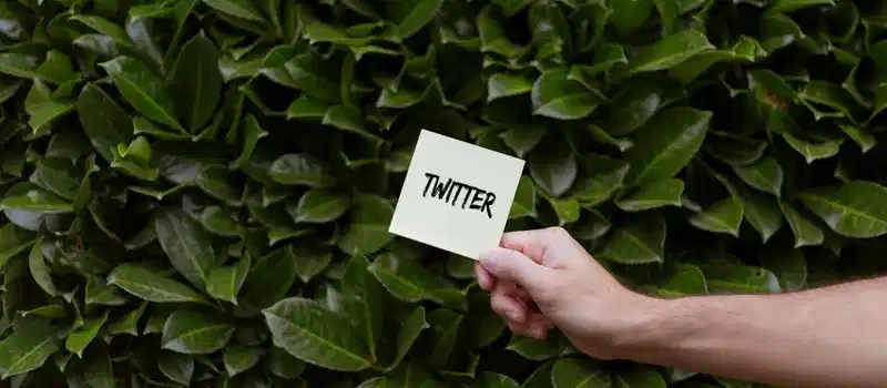 A hand holding a note with 'Twitter' written on it, set against a backdrop of green leaves.