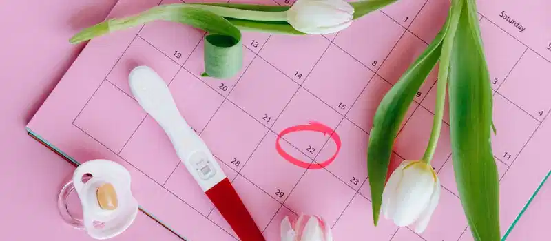 Pregnancy test on pink calendar with tulips, symbolizing fertility and new beginnings.