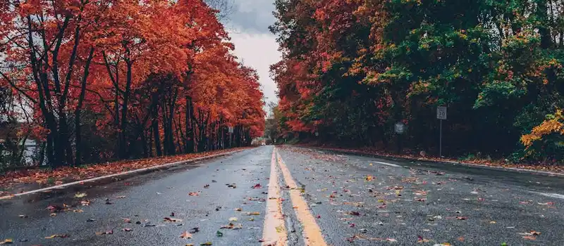 A vibrant autumn scene with colorful foliage lining a wet road in Long Pond, PA.