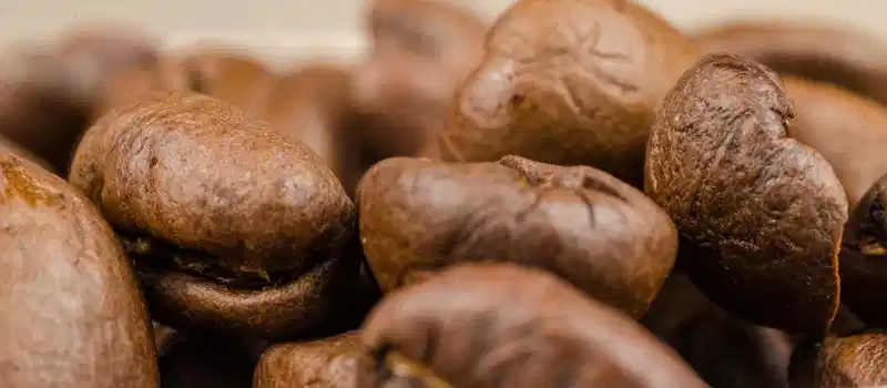 Macro shot of freshly roasted coffee beans showcasing texture and color.